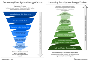 CARBON FARMING AND ITS PROMISES
