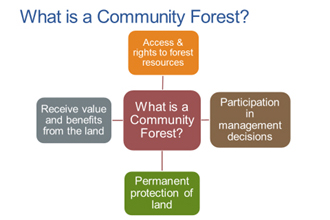 COMMUNITY FOREST RESOURCE